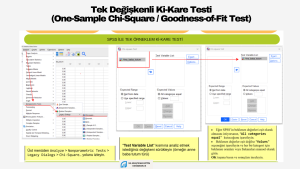 SPSS ile tek örneklem ki-kare testinin nasıl yapıldığını gösteren bir görsel