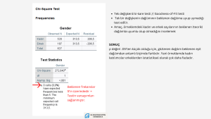 Tek örneklem ki-kare testinin SPSS çıktılarını içeriyor