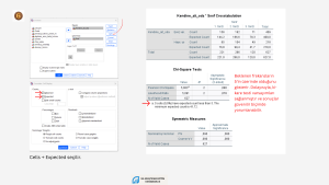 SPSS'te ki-kareyi nasıl yapacağımızı gösteriyor
