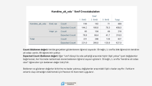 SPSS sonuçlarını nasıl yorumlayacağımızı gösteriyor