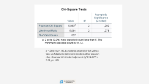 SPSS'te ki-kare sonuçlarının nasıl yorumlanacağını gösteriyor