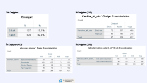 Ki-kare testi yaparken nelere dikkat etmemiz gerektiğini anlatan bir görsel.