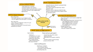 Doğrulayıcı Faktör Analizi Hakkında Bilgi Veren Görsel