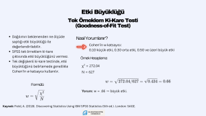 Tek örneklem ki-kare testinde etki büyüklüğünün nasıl hesaplanacağını gösteren bir görsel.