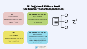 iki değişkenli ki kare testi hakkında bilgi veren bir görsel. Örneklem büyüklüğü, ki-kare ve gözenek sayıları arasındaki ilişkileri açıklıyor.