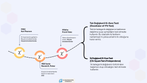 Görselde ki-kare testinin tarihini açıklayan bilgiler var